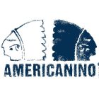 americanino_logo